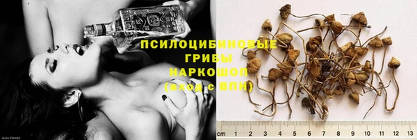 PSILOCYBIN Алексин