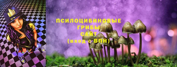 PSILOCYBIN Алексин