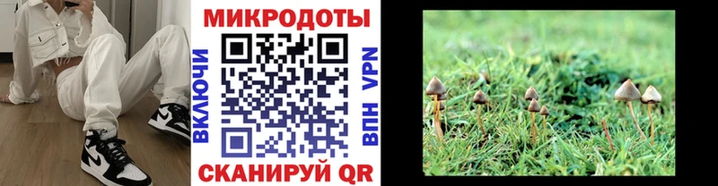 Галлюциногенные грибы MAGIC MUSHROOMS купить наркотики цена Грязовец